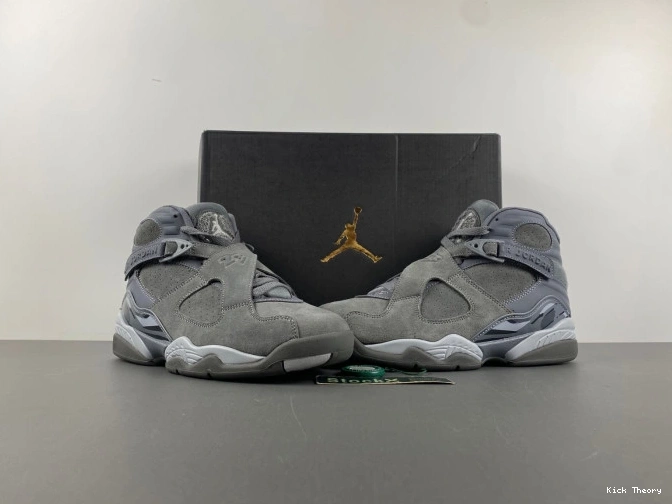 Kicktheory Grey Retro 8 305381-014 Jordan Cool 0730